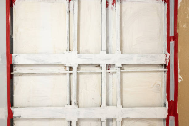 Best Asbestos and Lead Testing During Mold Inspection  in New Port Richey East, FL