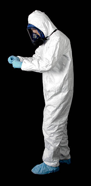 Best Environmental Consulting for Mold Prevention  in New Port Richey East, FL
